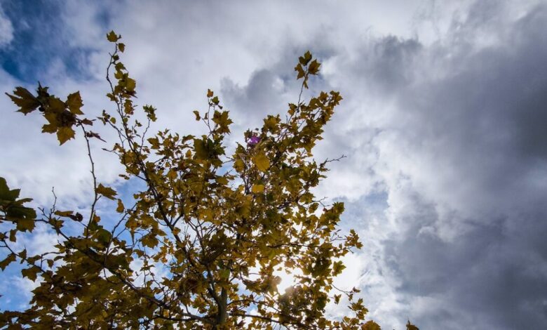 Καιρός-αύριο:-Άνοδος-της-θερμοκρασίας-σχεδόν-σε-όλη-τη-χώρα