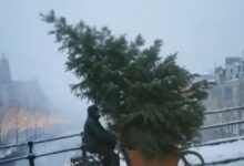 Η-mcdonald’s-Ολλανδίας-έκανε-χριστουγεννιάτικη-διαφήμιση-με-ΑΙ-και-δέχτηκε-την-κατακραυγή-του-κοινού