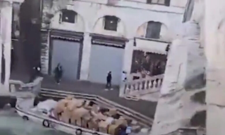 Βενετία:-Γυναίκα-έκλεψε-σκάφος-με-δέματα-και-«καρφώθηκε»-στον-τοίχο-δίπλα-από-τη-διάσημη-γέφυρα-του-Ριάλτο