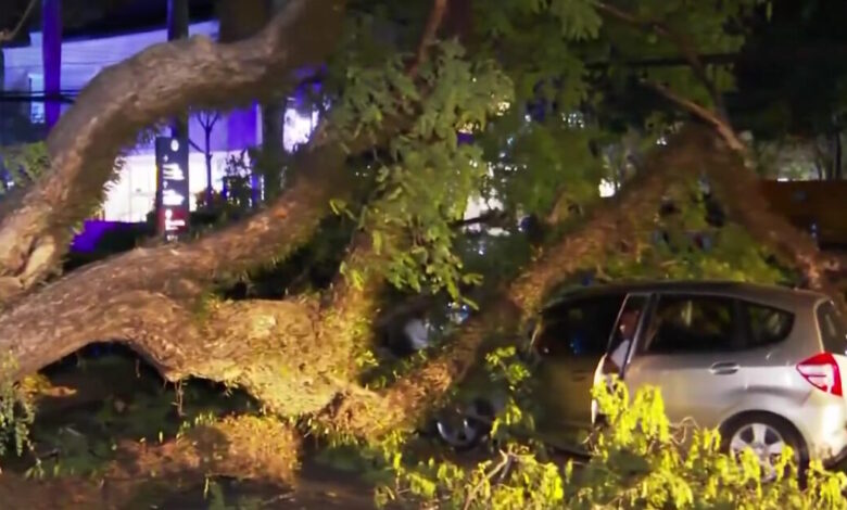 Βραζιλία:-Κυκλώνας-«σάρωσε»-το-Σάο-Πάολο-–-2-εκατ.-κάτοικοι-χωρίς-ρεύμα,-ακυρώσεις-εκατοντάδων-πτήσεων