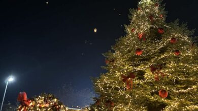 Πύλη:-Στις-13-Δεκεμβρίου-η-φωταγώγηση-του-Χριστουγεννιάτικου-δέντρου