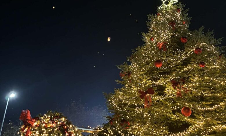 Πύλη:-Στις-13-Δεκεμβρίου-η-φωταγώγηση-του-Χριστουγεννιάτικου-δέντρου