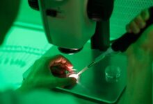 Ποιο-το-μέλλον-των-18-παιδιών-που-γεννήθηκαν-από-το-σπέρμα-του-δότη-με-μετάλλαξη-που-προκαλεί-καρκίνο