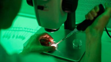 Ποιο-το-μέλλον-των-18-παιδιών-που-γεννήθηκαν-από-το-σπέρμα-του-δότη-με-μετάλλαξη-που-προκαλεί-καρκίνο