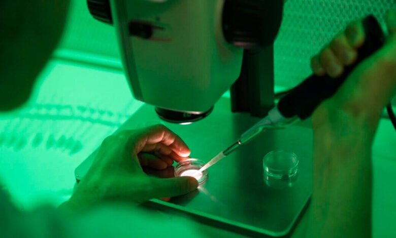 Ποιο-το-μέλλον-των-18-παιδιών-που-γεννήθηκαν-από-το-σπέρμα-του-δότη-με-μετάλλαξη-που-προκαλεί-καρκίνο