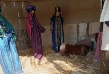 Βόλος:-Οι-αντιδράσεις-για-το-ζωντανό-πόνι-μέσα-στη-φάτνη-και-η-απάντηση-του-Αχιλλέα-Μπέου