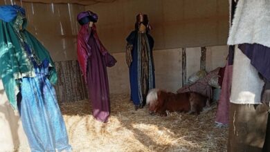 Βόλος:-Οι-αντιδράσεις-για-το-ζωντανό-πόνι-μέσα-στη-φάτνη-και-η-απάντηση-του-Αχιλλέα-Μπέου