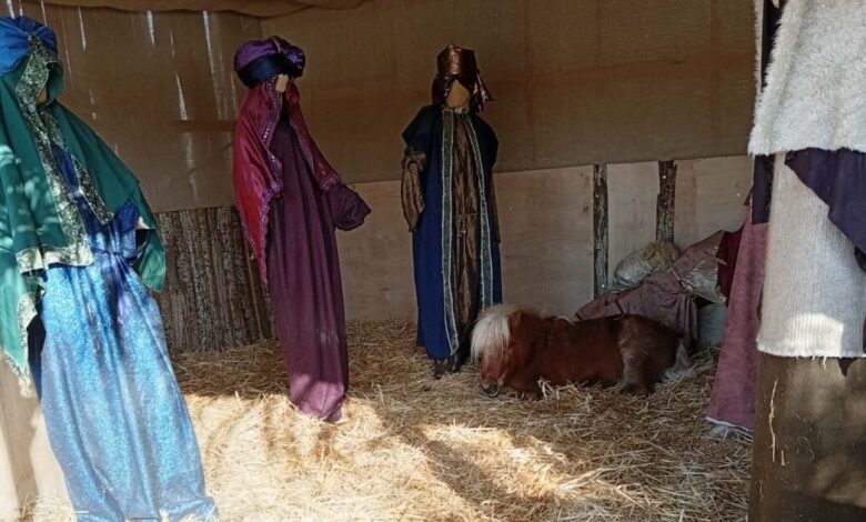 Βόλος:-Οι-αντιδράσεις-για-το-ζωντανό-πόνι-μέσα-στη-φάτνη-και-η-απάντηση-του-Αχιλλέα-Μπέου