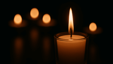 Τραγωδία-στον-Δήμο-Πύλης:-Κατέληξε-ο-85χρονος-που-παρασύρθηκε-από-το-τρακτέρ-του