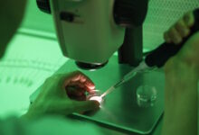 Σπέρμα-από-δότη:-Τα-αυστηρά-πρωτόκολλα-δεν-μπορούν-να-μηδενίσουν-το-ρίσκο-–-Τα-κενά-στους-ελέγχους-και-οι-κίνδυνοι