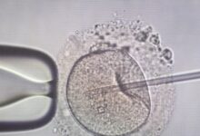 Αγωνία-για-11-οικογένειες-στην-Ελλάδα-που-έχουν-αποκτήσει-παιδιά-από-τον-Δανό-δότη-–-«Εξακολουθούμε-να-παίρνουμε-σπέρμα-δοτών-από-τη-Δανία»