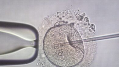 Αγωνία-για-11-οικογένειες-στην-Ελλάδα-που-έχουν-αποκτήσει-παιδιά-από-τον-Δανό-δότη-–-«Εξακολουθούμε-να-παίρνουμε-σπέρμα-δοτών-από-τη-Δανία»