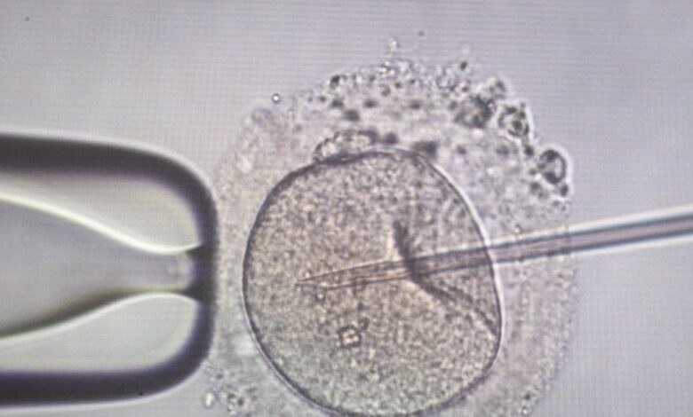 Αγωνία-για-11-οικογένειες-στην-Ελλάδα-που-έχουν-αποκτήσει-παιδιά-από-τον-Δανό-δότη-–-«Εξακολουθούμε-να-παίρνουμε-σπέρμα-δοτών-από-τη-Δανία»