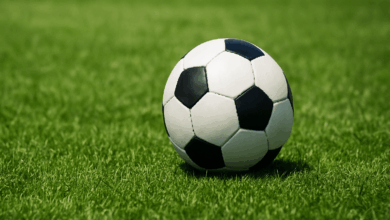 Λεβαδειακός-–-ΑΕΛ:-Απαγόρευση-οργανωμένης-μετακίνησης-φιλάθλων-της-ΑΕΛ