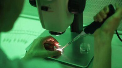 Σπέρμα-από-δότη:-Τα-αυστηρά-πρωτόκολλα-δεν-μπορούν-να-μηδενίσουν-το-ρίσκο-–-Τα-κενά-στους-ελέγχους-και-οι-κίνδυνοι