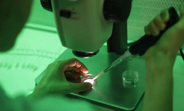 Σπέρμα-από-δότη:-Τα-αυστηρά-πρωτόκολλα-δεν-μπορούν-να-μηδενίσουν-το-ρίσκο-–-Τα-κενά-στους-ελέγχους-και-οι-κίνδυνοι