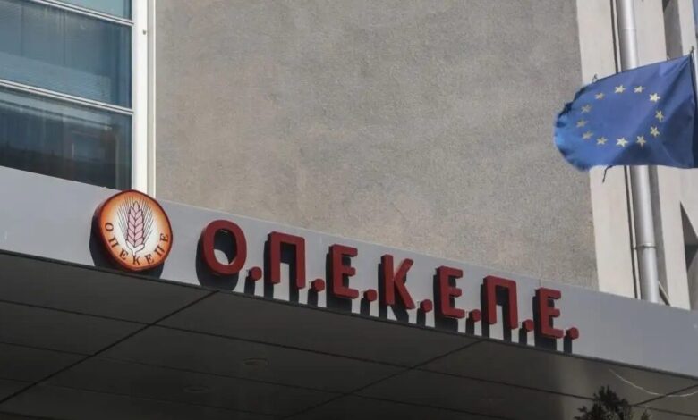 ΟΠΕΚΕΠΕ:-Πόλεμος-και-αλληλοκατηγορίες ΝΔ-–-ΠΑΣΟΚ-για-τις-κουμπαριές-–-«Ο-Χιλετζάκης-έχει-διαγραφεί»-απαντά-η-Σδούκου