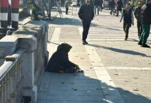 Χριστούγεννα-στα-Τρίκαλα:-Βόλτα,-φως-και-επαιτεία-στο-κέντρο