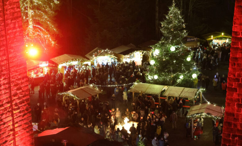 Γερμανία:-Συνελήφθησαν-5-ύποπτοι-που-σχεδιάζαν-επίθεση-με-αυτοκίνητο-σε-χριστουγεννιάτικη-αγορά-της-Βαυαρίας