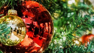 Στολισμός-χριστουγεννιάτικου-δέντρου:-Δείτε-όλα-όσα-πρέπει-να-προσέξετε