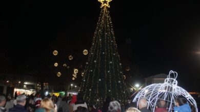 h-φωταγώγηση-του-Χριστουγεννιάτικου-Δένδρου-στην-Πύλη