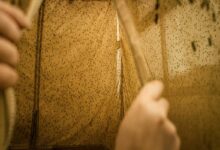 Πριν-πεθάνει-η-κτηνοτροφία,-βρέθηκαν-οι-λύσεις