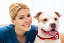 Η-Σημασία-της-εξατομικευμένης-διατροφής-με-βάση-το-μέγεθος-και-τη-φυλή-του-σκύλου