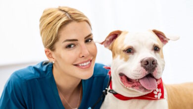 Η-Σημασία-της-εξατομικευμένης-διατροφής-με-βάση-το-μέγεθος-και-τη-φυλή-του-σκύλου