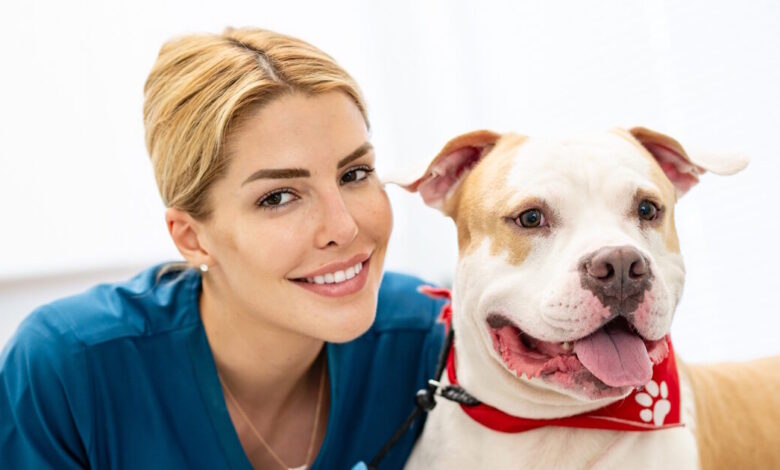 Η-Σημασία-της-εξατομικευμένης-διατροφής-με-βάση-το-μέγεθος-και-τη-φυλή-του-σκύλου