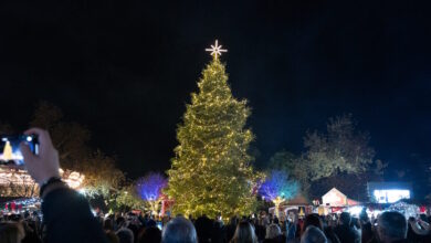 Θεσσαλονίκη:-Φωταγωγήθηκε-το-Χριστουγεννιάτικο-Δέντρο-που-στολίζει-το-«Χωριό-των-Μαγεμένων»