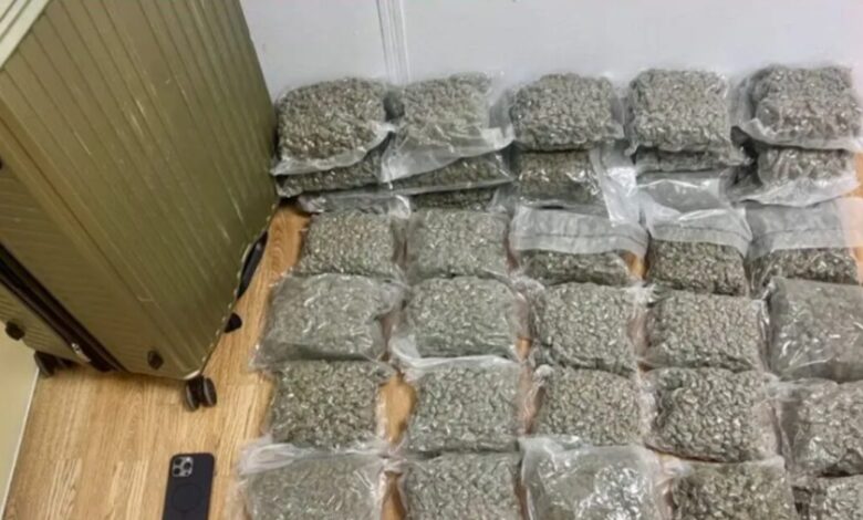 Συνελήφθη-23χρονος-στο-«Ελευθέριος-Βενιζέλος»:-Έκρυβε-στη-βαλίτσα-του-πάνω-από-18-κιλά-κάνναβης