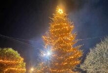 Φωταγωγήθηκε-το-Χριστουγεννιάτικο-Δέντρο-στον-Πρόδρομο-Τρικάλων