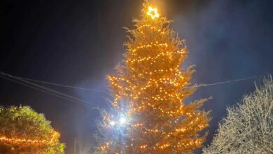 Φωταγωγήθηκε-το-Χριστουγεννιάτικο-Δέντρο-στον-Πρόδρομο-Τρικάλων
