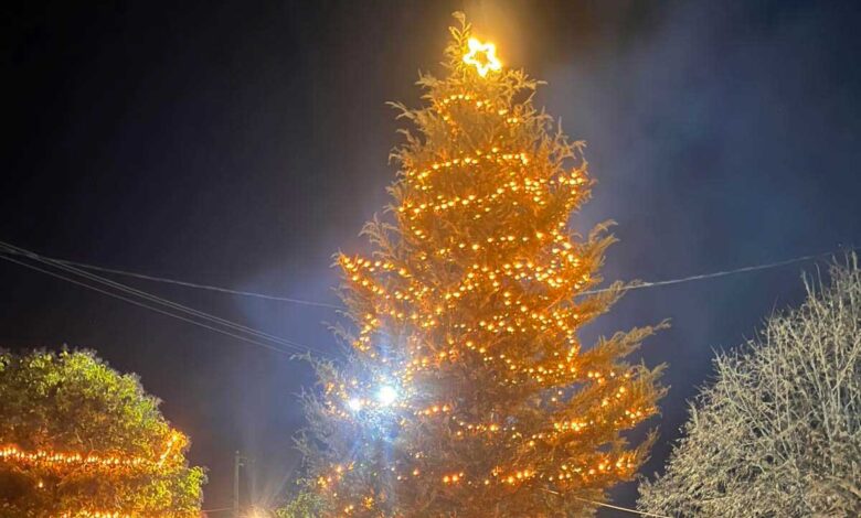 Φωταγωγήθηκε-το-Χριστουγεννιάτικο-Δέντρο-στον-Πρόδρομο-Τρικάλων