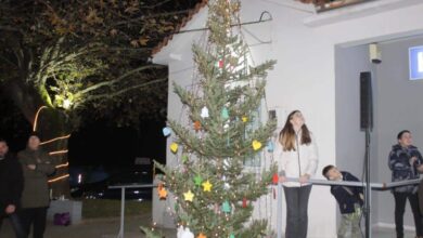 Φωταγωγήθηκε-το-Χριστουγεννιάτικο-Δένδρο-στη-Λυγαριά