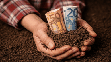 Εξισωτική-Αποζημίωση-2025:-Αναρτήθηκαν-οι-πίνακες,-πληρωμή