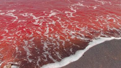 Τα-νερά-του-Ορμούζ-βάφτηκαν-κόκκινα