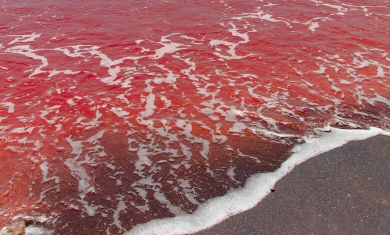 Τα-νερά-του-Ορμούζ-βάφτηκαν-κόκκινα