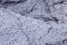 Ιταλία:-Χιλιάδες-αποτυπώματα-δεινοσαύρων-βρέθηκαν-στις-Άλπεις-σε-υψόμετρο-άνω-των-2.000-μέτρων