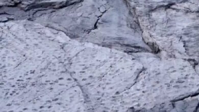 Ιταλία:-Χιλιάδες-αποτυπώματα-δεινοσαύρων-βρέθηκαν-στις-Άλπεις-σε-υψόμετρο-άνω-των-2.000-μέτρων