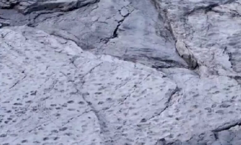 Ιταλία:-Χιλιάδες-αποτυπώματα-δεινοσαύρων-βρέθηκαν-στις-Άλπεις-σε-υψόμετρο-άνω-των-2.000-μέτρων