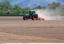 Υπουργείο-Αγροτικής-Ανάπτυξης:-Αναρτήθηκαν-οι-πίνακες-με-τους-δικαιούχους-της-Εξισωτικής-Αποζημίωσης-2025