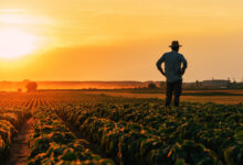 Όλα-τα-μέτρα-ενίσχυσης-των-αγροτών-που-ανακοίνωσε-ο-Κυριάκος-Μητσοτάκης:-Η-μείωση-του-ενεργειακού-κόστους-και-το-όφελος-για-τους-παραγωγούς