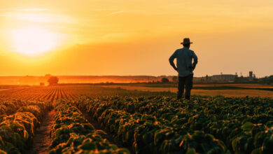 Όλα-τα-μέτρα-ενίσχυσης-των-αγροτών-που-ανακοίνωσε-ο-Κυριάκος-Μητσοτάκης:-Η-μείωση-του-ενεργειακού-κόστους-και-το-όφελος-για-τους-παραγωγούς