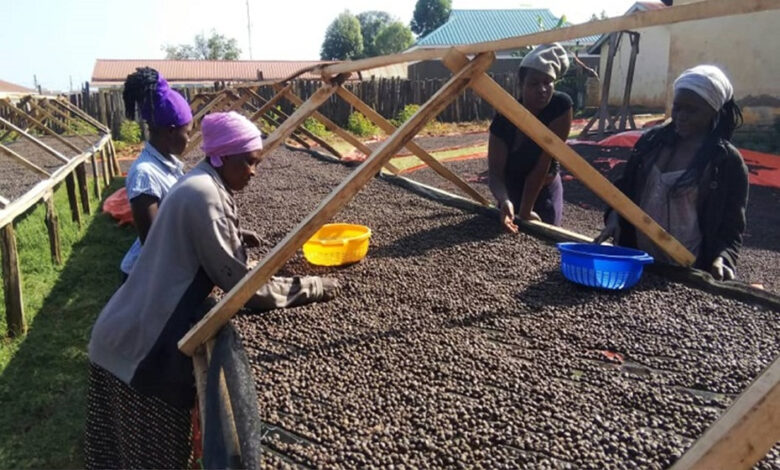 Καφές:-Ξεπέρασε-σε-εξαγωγές-την-Αιθιοπία-η-Ουγκάντα