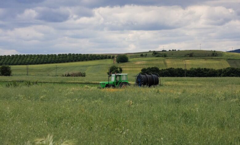 ΟΠΕΚΕΠΕ-–-ΕΛΓΑ:-Ολοκληρώθηκαν-πληρωμές-σε-αγρότες-ύψους-487,9-εκατ.-ευρώ