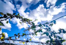 Καιρός-σήμερα:-Λιακάδα-με-τοπικές-νεφώσεις-–-Δεν-ξεπερνά-τους-19-βαθμούς-η-θερμοκρασία