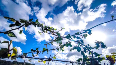 Καιρός-σήμερα:-Λιακάδα-με-τοπικές-νεφώσεις-–-Δεν-ξεπερνά-τους-19-βαθμούς-η-θερμοκρασία