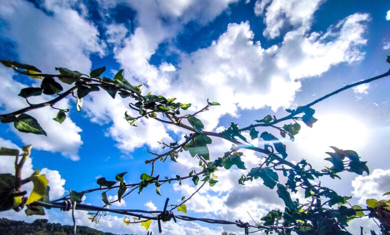 Καιρός-σήμερα:-Λιακάδα-με-τοπικές-νεφώσεις-–-Δεν-ξεπερνά-τους-19-βαθμούς-η-θερμοκρασία