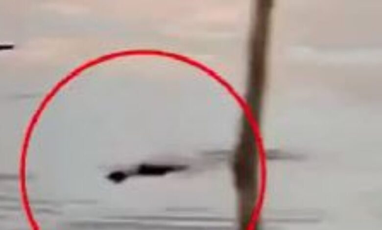 Ινδονησία:-10χρονος-βρήκε-φρικτό-θάνατο-όταν-τον-άρπαξε-κροκόδειλος-ενώ-κολυμπούσε-με-φίλους-του